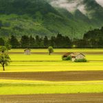 Proyecto de Decreto.- Renta Exenta. Desarrollo del campo Colombiano.