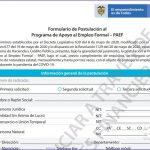 Formulario estandarizado para la postulación al programa de apoyo al empleo formal.