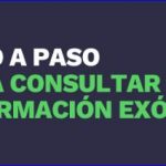 Paso a paso para consultar tu información exógena.