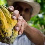 Se crea el Programa de Apoyo para el Pago de la Prima de Servicios – PAP para el Sector Agropecuario.