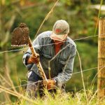 Se adoptan medidas en el sector agropecuario para atenuar los efectos económicos Coronavirus COVID-19.