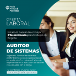 Oferta laboral, auditor de sistemas.