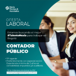 Oferta laboral, Contador Publico.