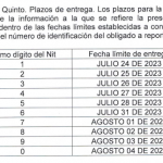 Tenga esto presente. Se establecen los sujetos obligados a presentar medios magnéticos ante el distrito de Cali por al año gravable 2022.