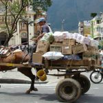 ¿Qué tarifa de retención en la fuente debe aplicarse al transporte de carga terrestre realizado mediante vehículos de tracción animal?